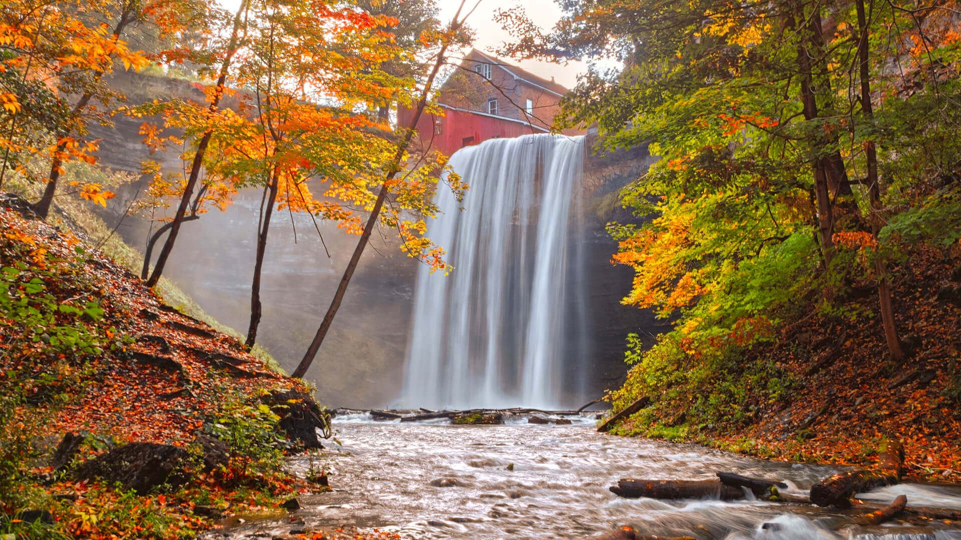 decew falls picture during fall, with beautiful colors